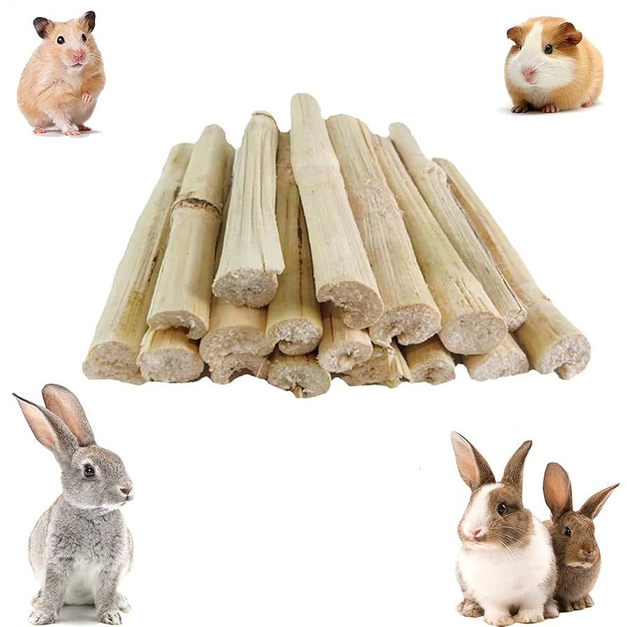 小鳥や小動物のおもちゃ 504 Amazon.co.jp: YIBOOOM 100g入りサトウキビの竹 うさぎ おもちゃ